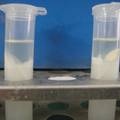 禽流感（H5N1）油乳剂灭活疫苗抗原效价快速检测方法的建立