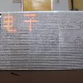 基于等离子体辉光放电技术的电子黑板研究与实现