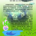 氧化钙固硫反应的量子化学研究