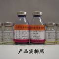 鸡志贺氏菌多价凝集抗原及其标准血清的研制