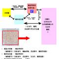 城市交通拥堵现状调查与对策研究——由城市各大中心到城市外围分区放射分流交通利用模式