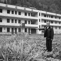 公平与效益的博弈—关于中部地区农村中小学撤点并校的调查与反思