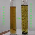 生物絮凝剂在再生造纸零排放技术中的应用研究