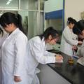 铈锆钇氧化物固溶体的水热法制备及性能表征