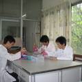 禽流感（H5N1）油乳剂灭活疫苗抗原效价快速检测方法的建立