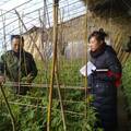 关于辽宁省农村土地承包经营权流转的调查与研究--以鞍山市岫岩县岭沟乡塘岭村为例