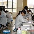 医科学生疑病现象及心理应对方式研究
