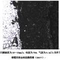 镁合金为基体的等离子表面熔覆技术