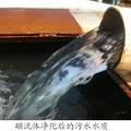 新型油田污水净化处理剂——功能化纳米磁流体的开发与应用