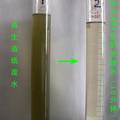 生物絮凝剂在再生造纸零排放技术中的应用研究