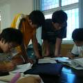 关于中国粮食安全的调查与思考--来自安徽农村的报告