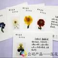 “花开画落”创意有限责任公司