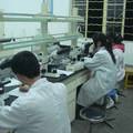 智胜生物科技有限公司