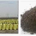 华夏宁酶药渣生物循环利用有限责任公司